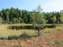 Konkurs Lasów Państowych i National Geographic Polska
