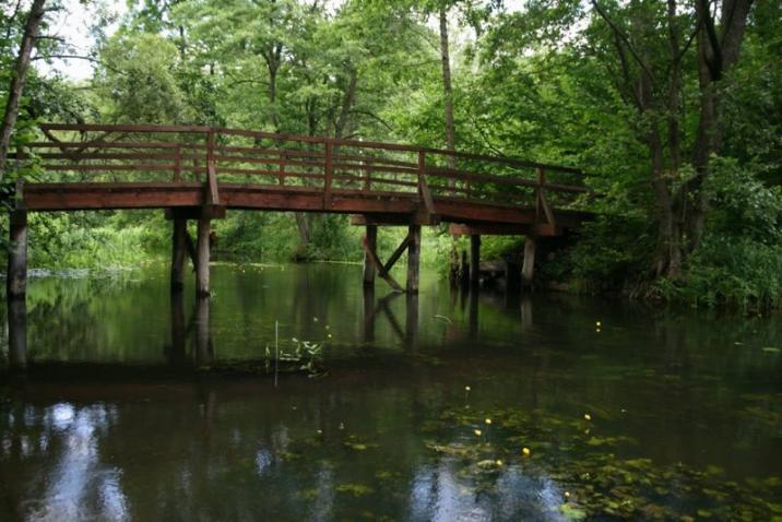 Łaźna Struga, fot. A. Garackiewicz
