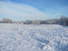 Wiesław Łukaszewicz