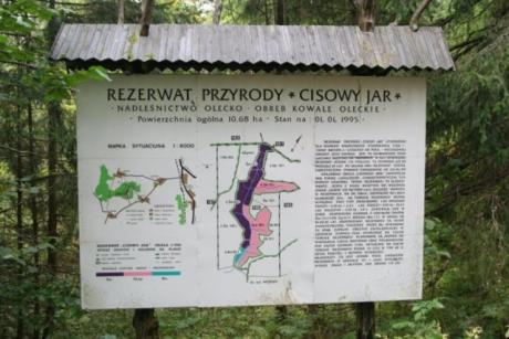 Cisowy Jar