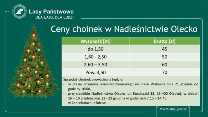 Cennik choinek bożonarodzeniowych w roku 2025